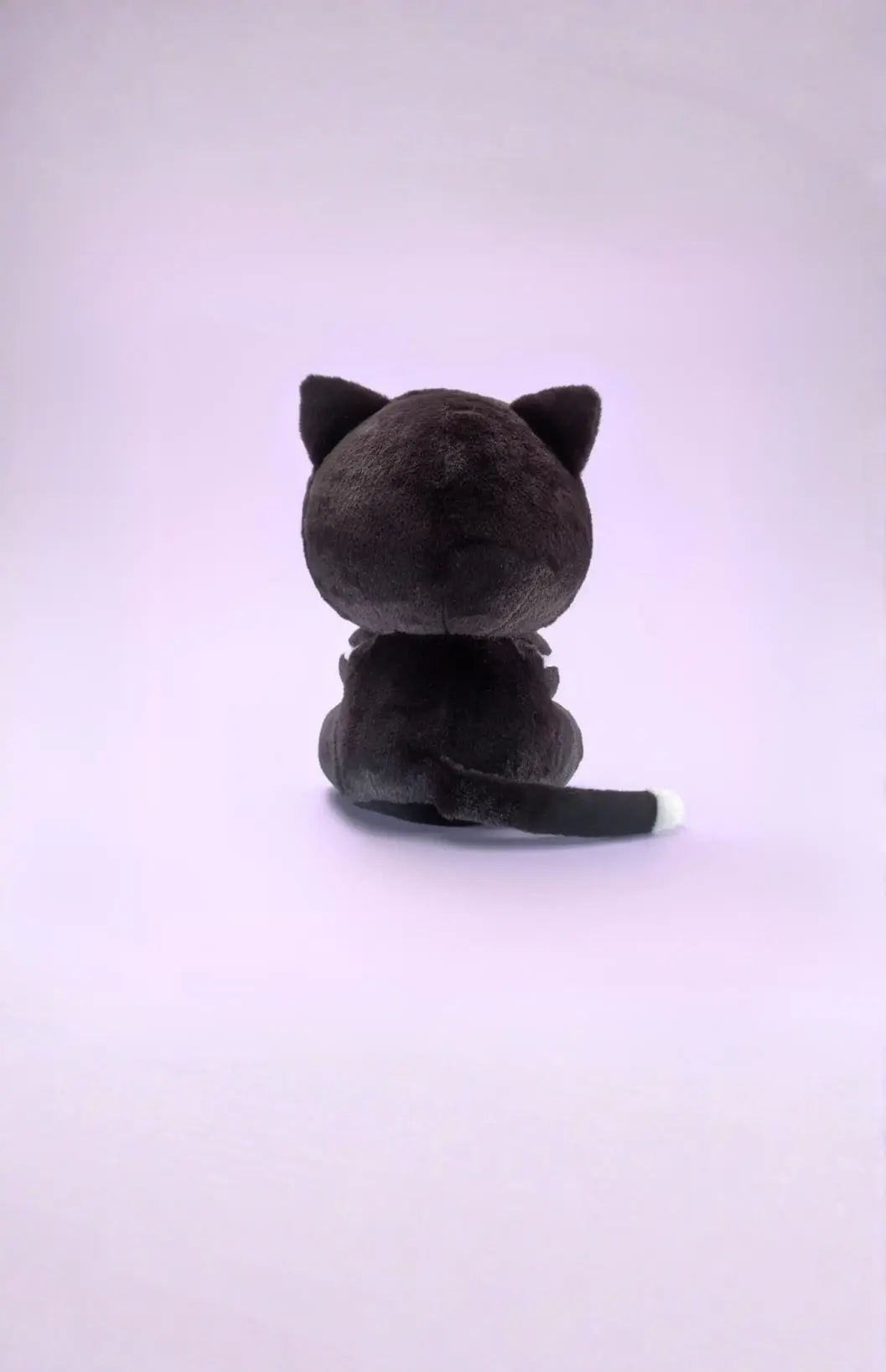 Kitty back view