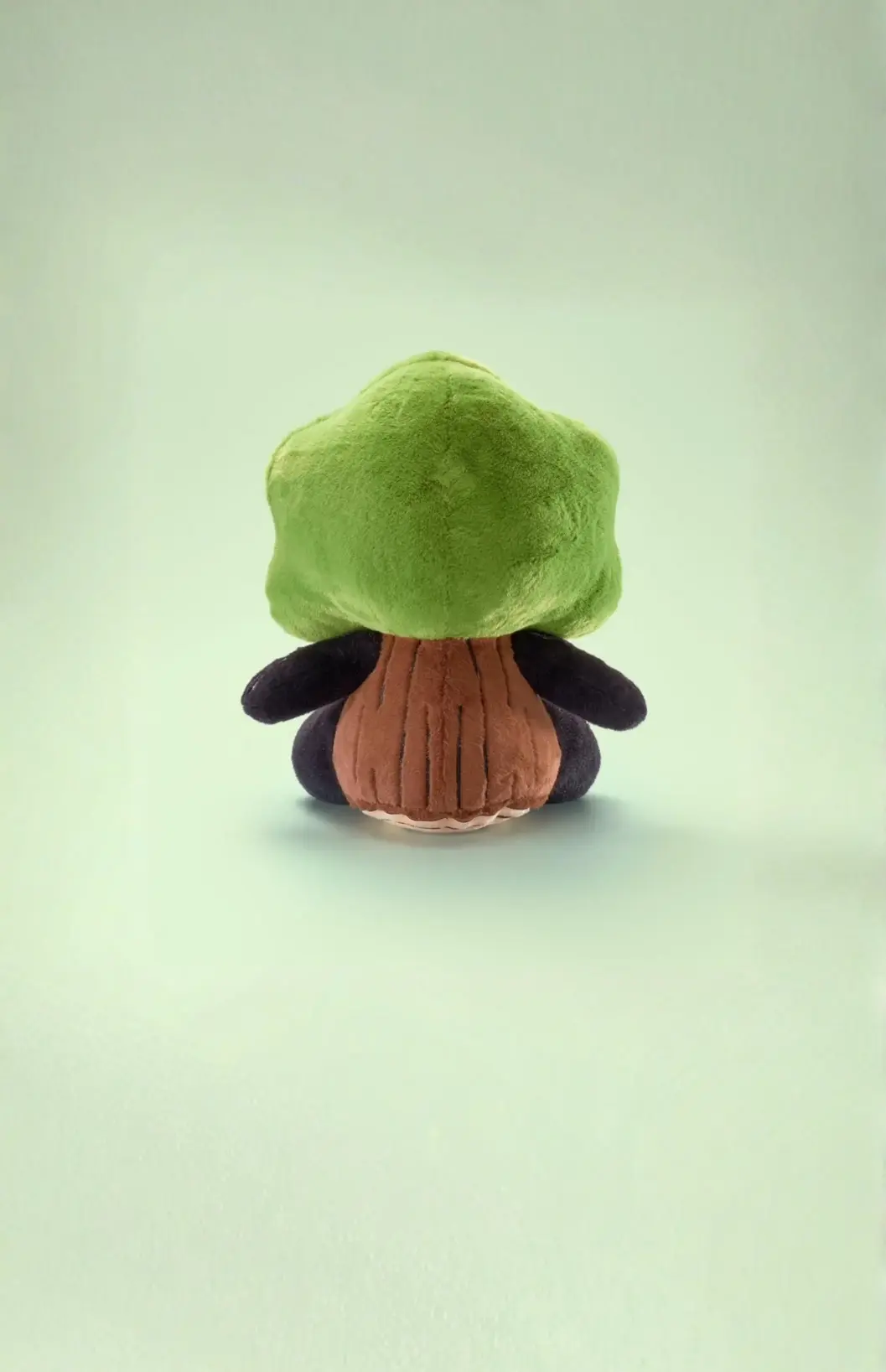 Mr. Oak back view